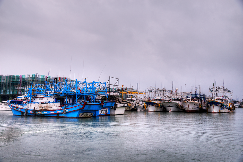［宜蘭縣頭城鎮］龜山島登島日記
