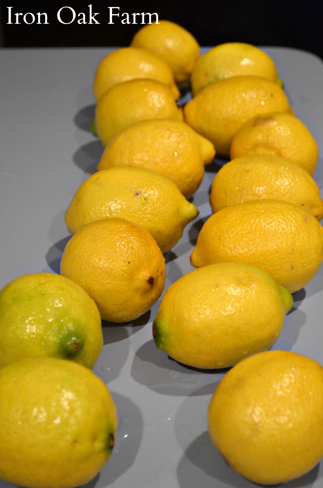 Iron Oak Farm Strawberry Lemonade Concentrate