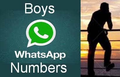 Whatsapp boy number