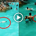 (VIDEO) Tengok Kanak² Lemas Dlm Kolam..Tindakan Pengunjung Selamba Melihat & Merakam Video Undang KEMARAHAN !!!