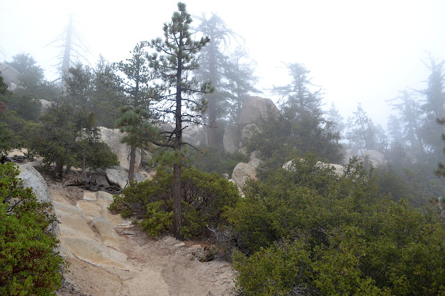 eroded trail surrounded by boulders and manzanita