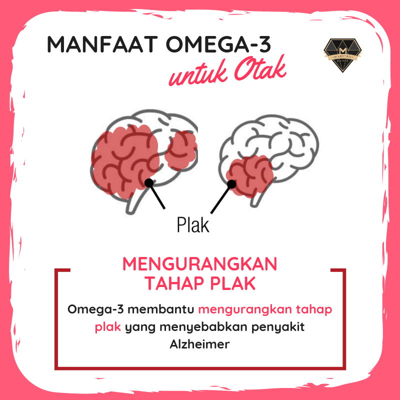 Manfaat Omega3 untuk Otak
