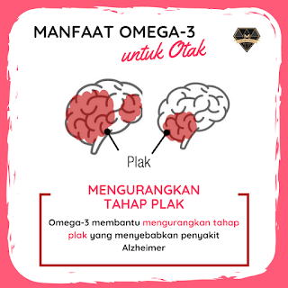 Manfaat Omega-3 untuk Otak