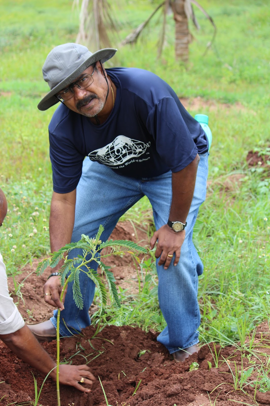EnviroApps EA FARMS PLANTING MORE TREES