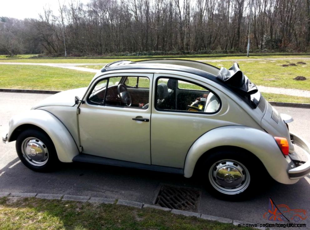 Ebay Cars  Motors 16 Widescreen Wallpaper