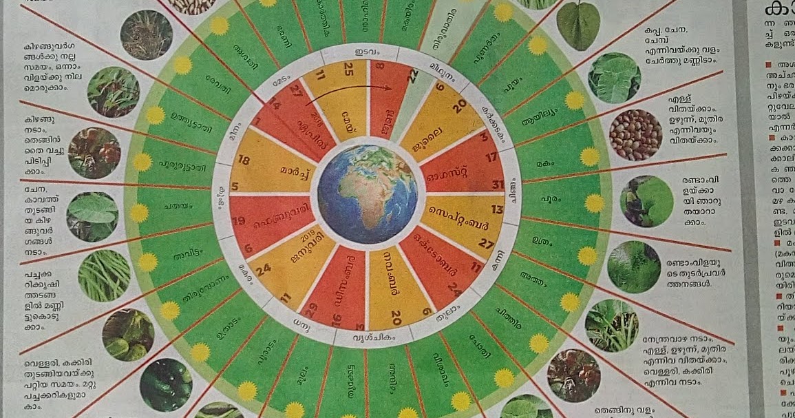 My Experiments With Farming Planting calendar (Njattuvela Calendar