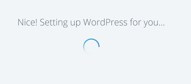 Setting up WordPress