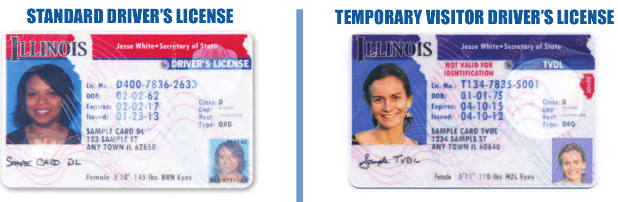Hispanic News Network U.S.A. Illinois Temporary Visitor Driver's