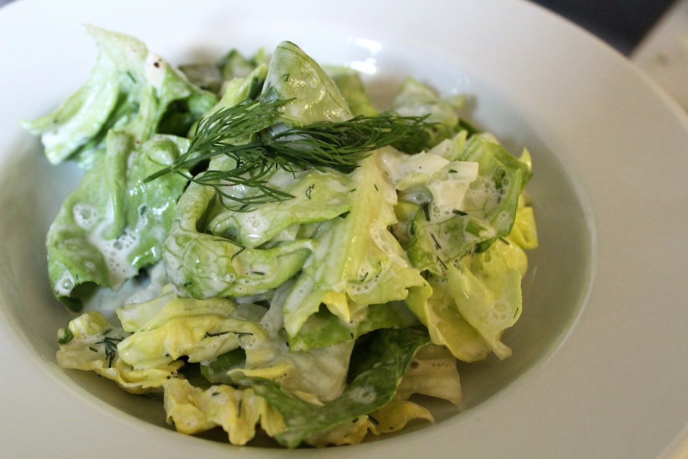 Kopfsalat mit bio Zitrone und saurer Sahne – glatzkoch.de