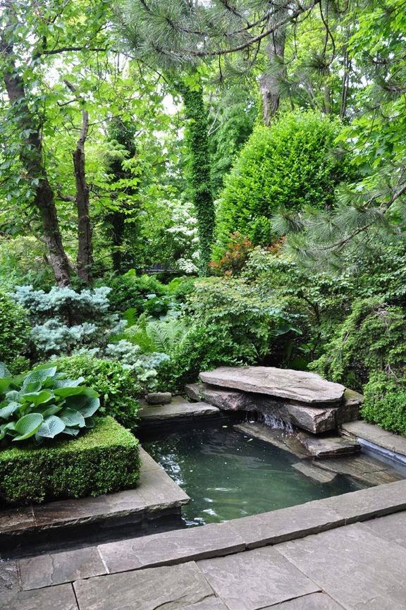 Pics Actually: Small Water Features & Garden Ponds