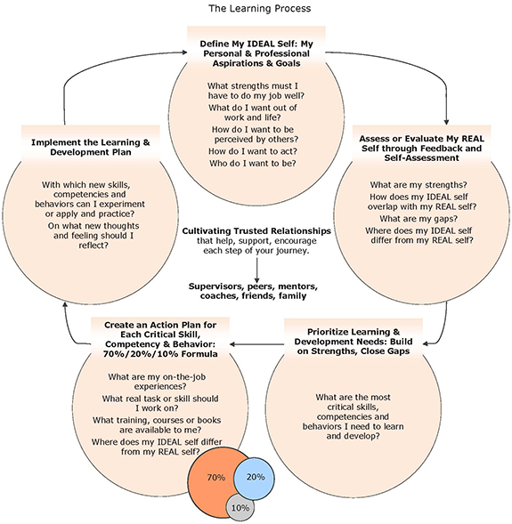 Systematic Learning Process Disruption!: 10-ene-2012