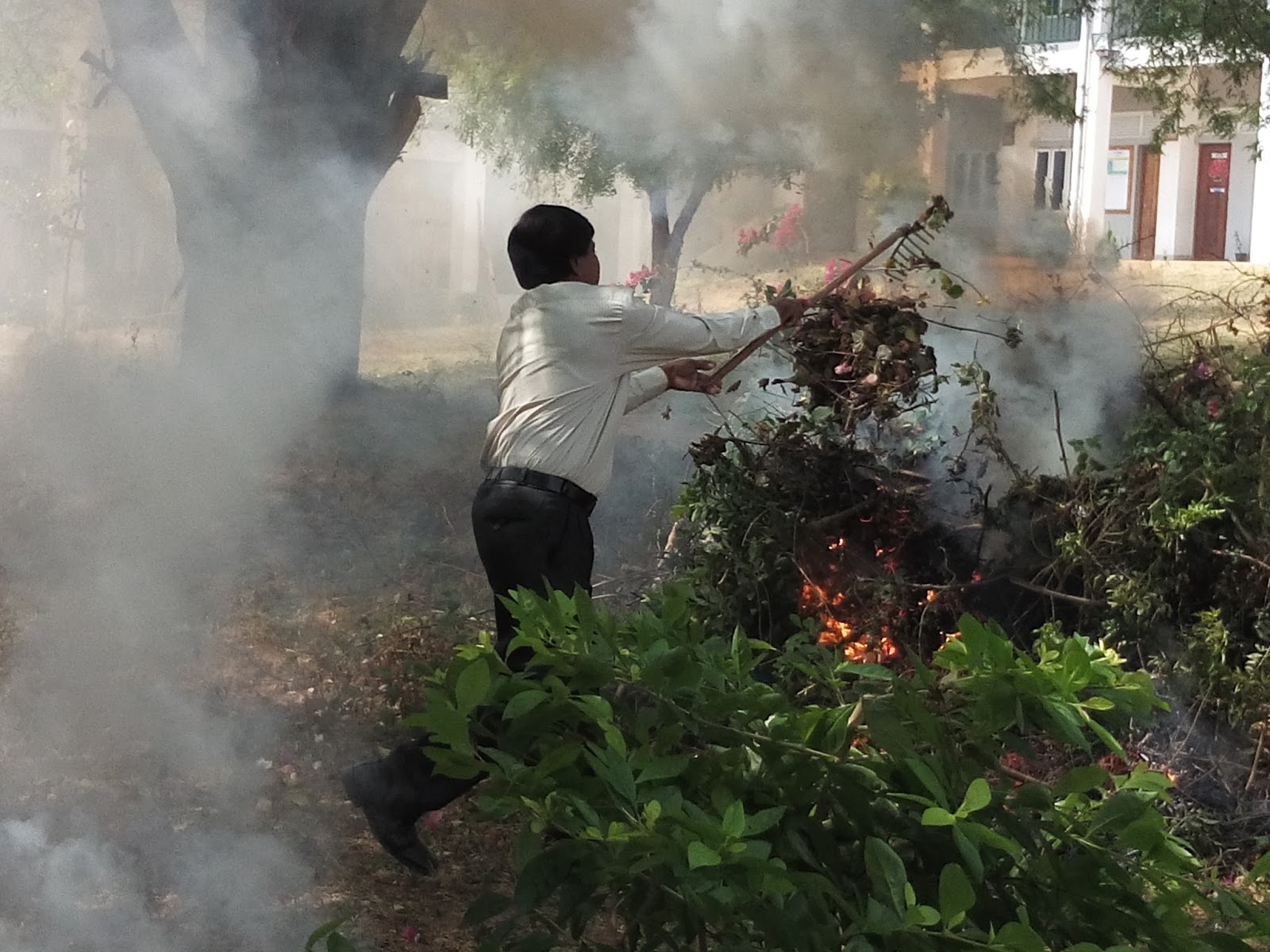 An unforgettable trip to sigiriya essay image