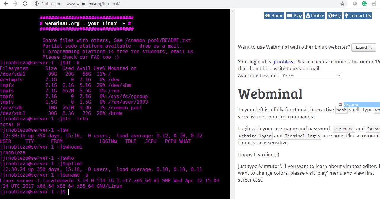 Webminal
