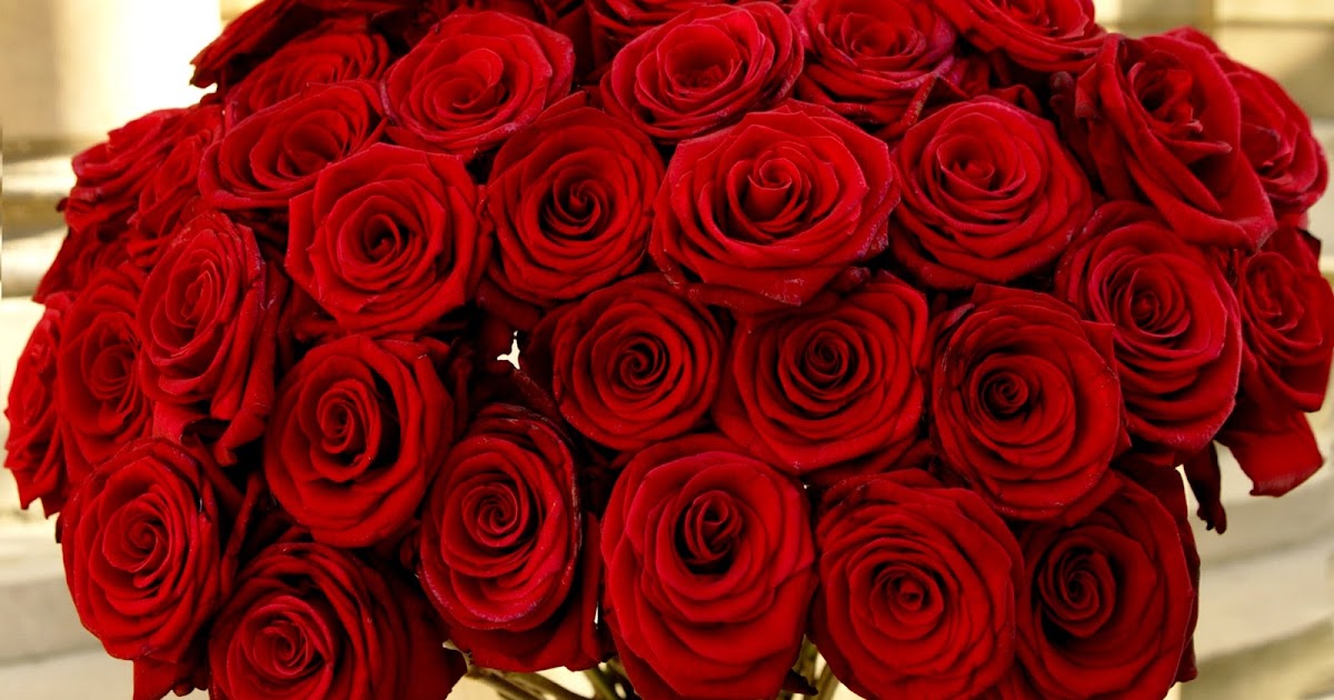 Valentine's Day Pictures 2013: Valentine’s Day Roses & Their Meanings