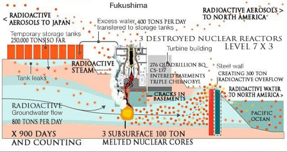fukushima+flow+summary.png