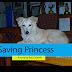 Saving Princess