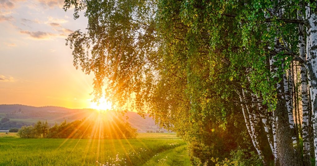 Тепло родины слова. Природа солнце. Красота русской природы. Летний пейзаж. Природа летом рассвет.