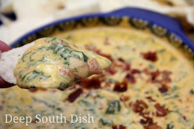 Deep South Dish Original Ro Tel Famous Queso Dip And Variations,What Is Msg Used For In Cooking