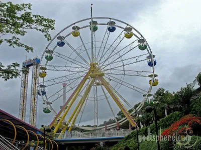 Towering Ocean Park Ferris Wheel