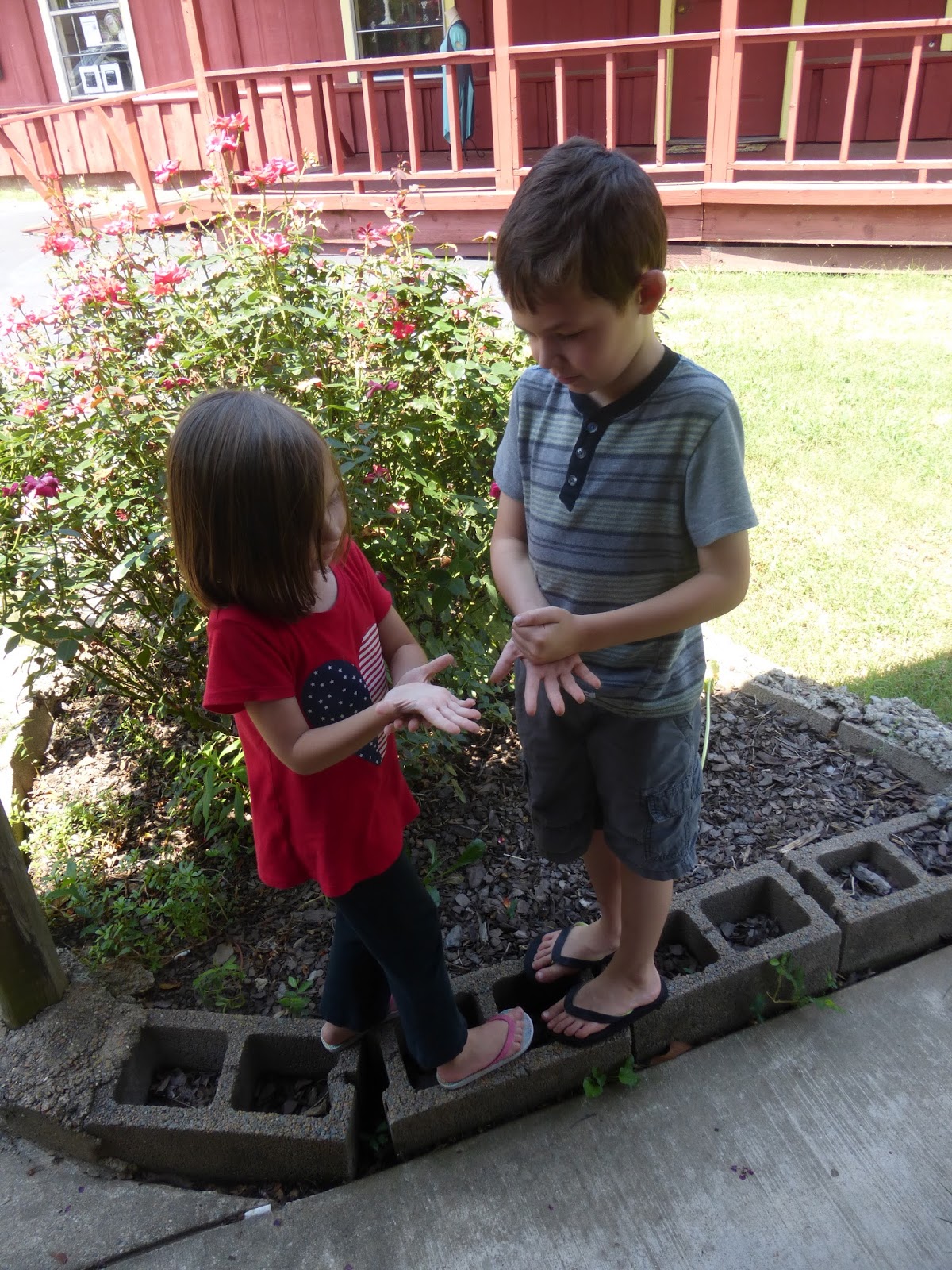 Hendrickson Family Blog Pickles Gap Village