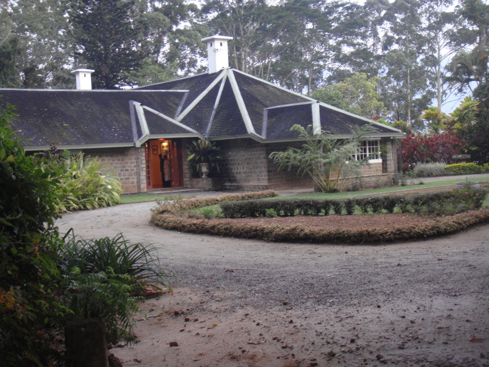 T's Daily Treasures The Lavender House