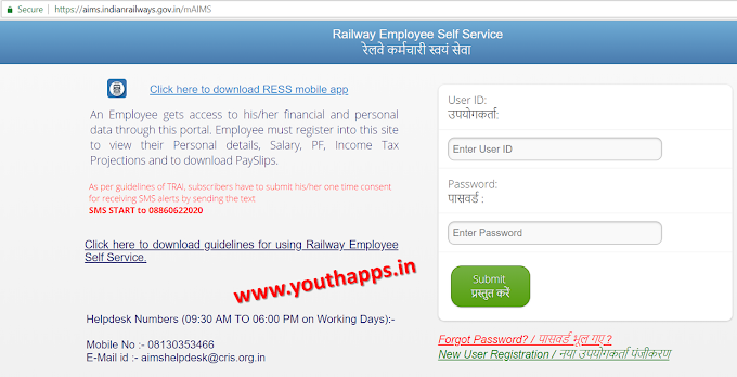 What can you check on Railway Employee Self Service (RESS)