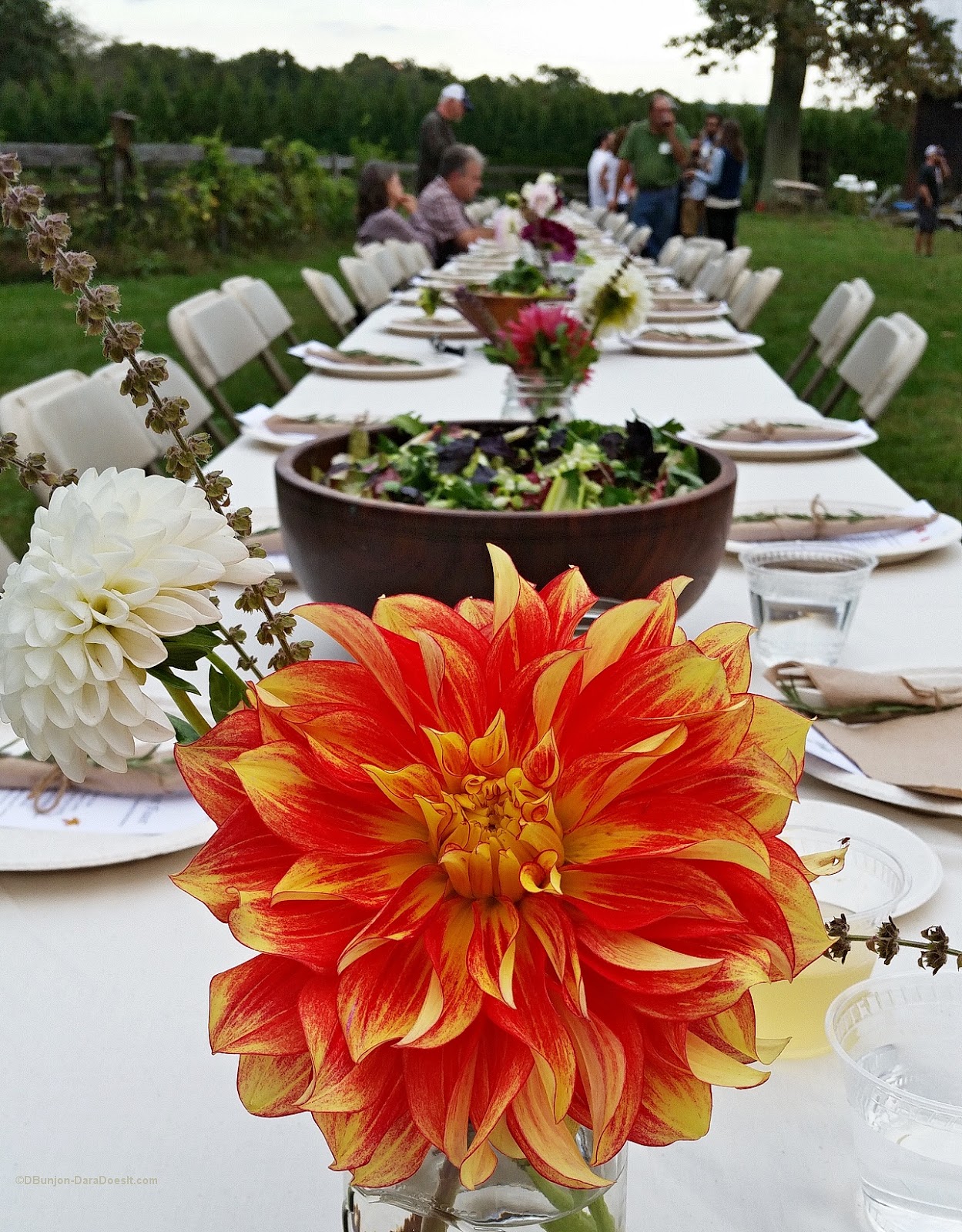 Dining Dish Food and Wine's Best FarmtoTable Restaurants in Every State