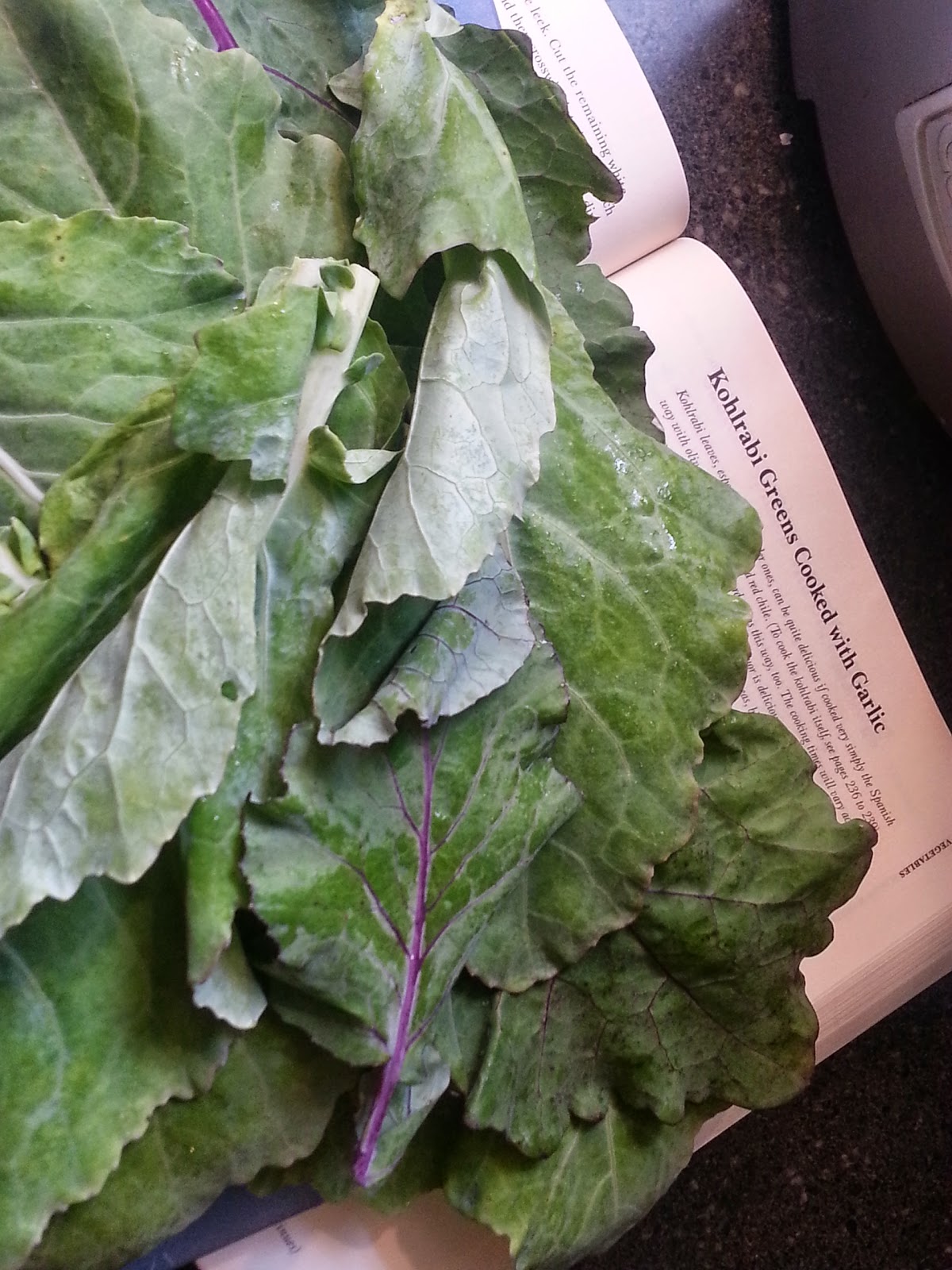 full tummies Kohlrabi Greens with Garlic