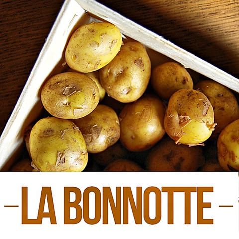 La bonnotte картофель. французский картофель la bonnotte. картофель bonnotte la bonnotte. дорогая картошка в мире. французский картофель la bonnotte.