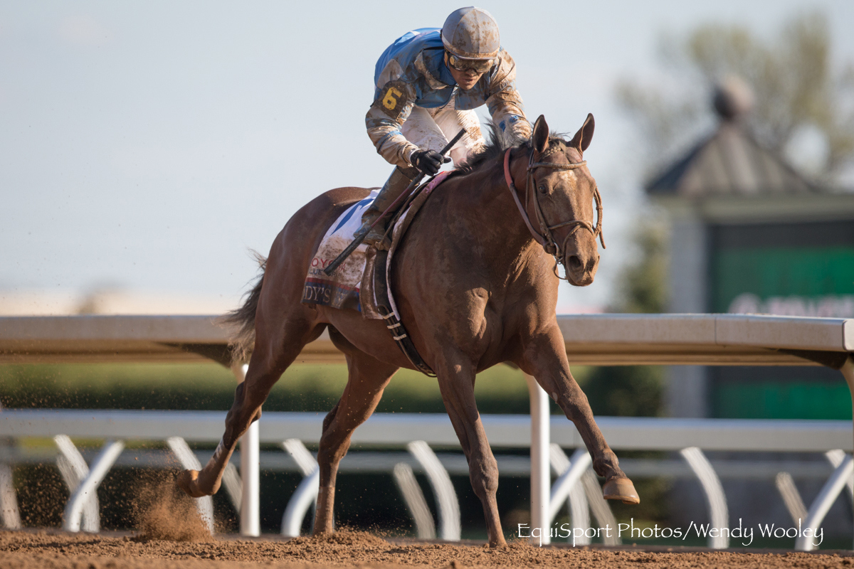 The Coltons Point Times Iowa Horse Brody's Cause in Kentucky Derby
