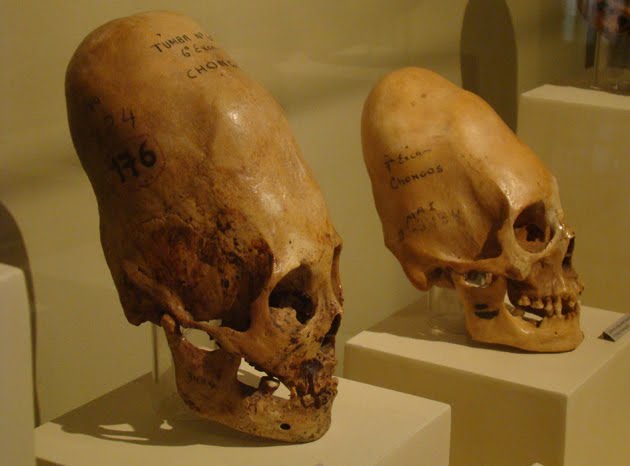 Los homo capensis de Paracas