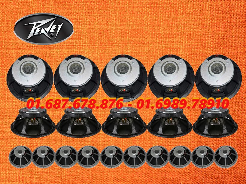 loa peavey black widow 1508