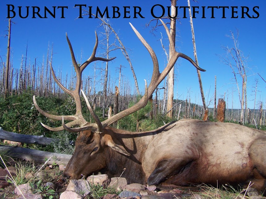 Burnt Timber Outfitters