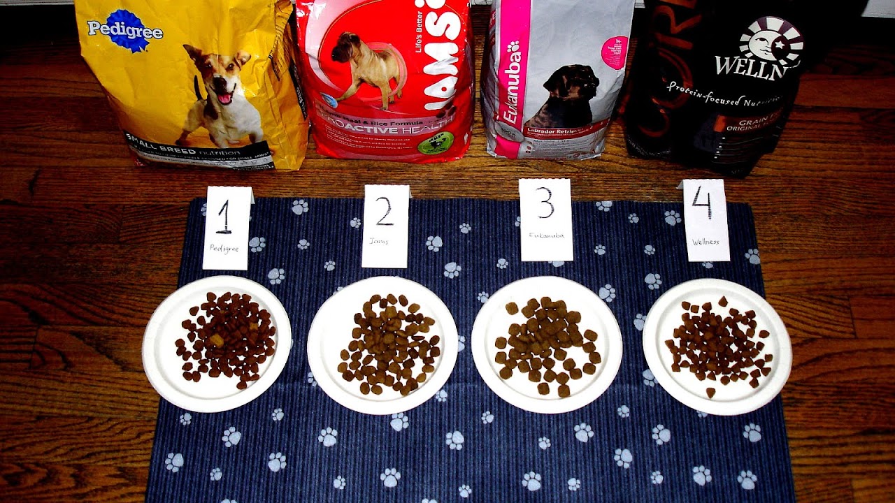 What Is The Best Brand Dog Food Brand Choices
