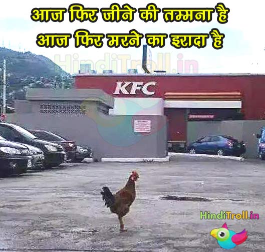 KFC Hen Funny Picture | KFC Troll Photo | Funny Hen Outside KFC