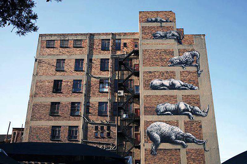ROA New Mural In Johannesburg, South Africa StreetArtNews