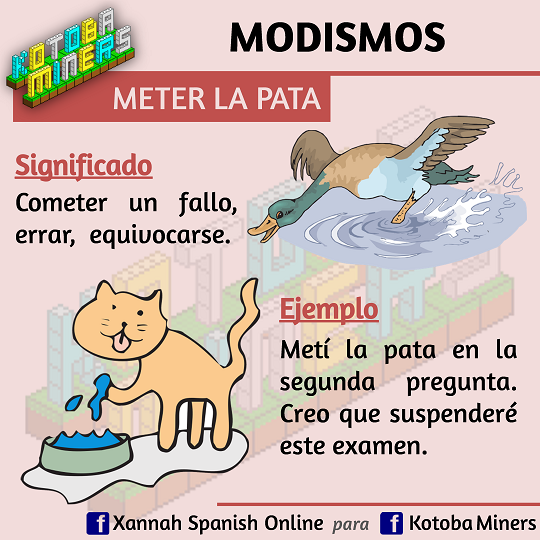 Xannah Spanish Online Idioms meter la pata