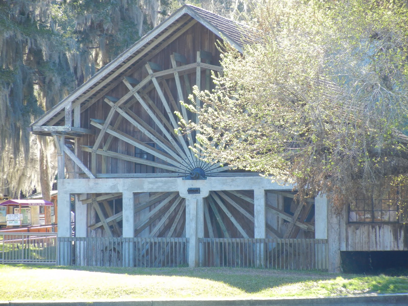 Picture Perfect DeLeon Springs State Park