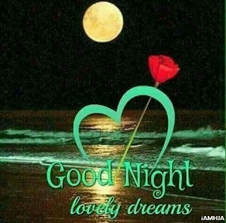 Good Night Lovely Dreams Best Night Wish Pics Download Hd Quality Night photo gallery download stock free collection