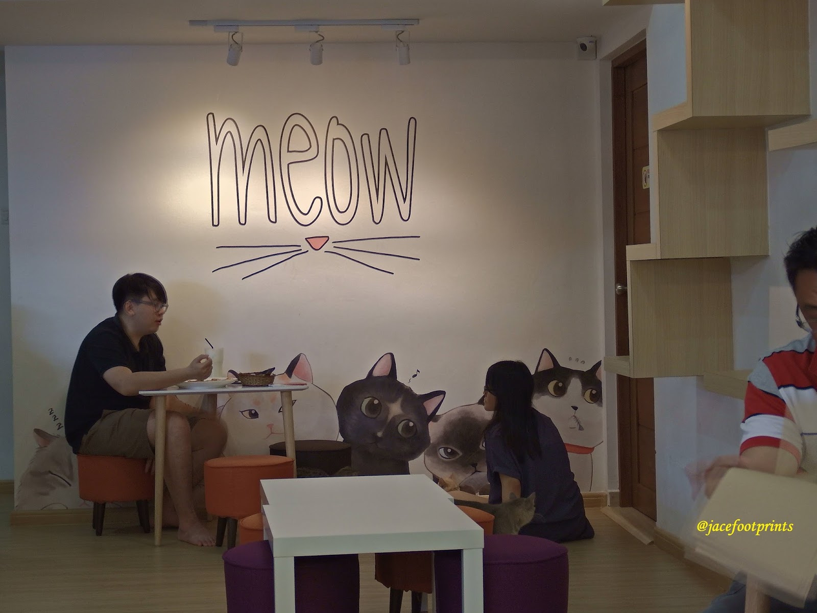[JB,Malaysia] Cats Cafe First Cats Cafe In JB Just Another