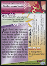 My Little Pony Brotherhooves Social Series 4 Trading Card