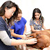 BANDEIRANTES - Hospital vira referência em saúde animal