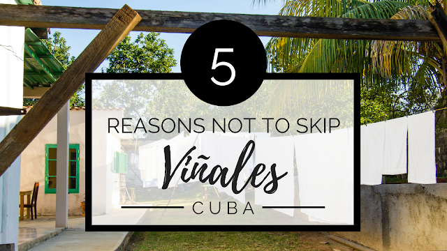 5 Reasons Not to Skip Viñales, Cuba | ADELANTE