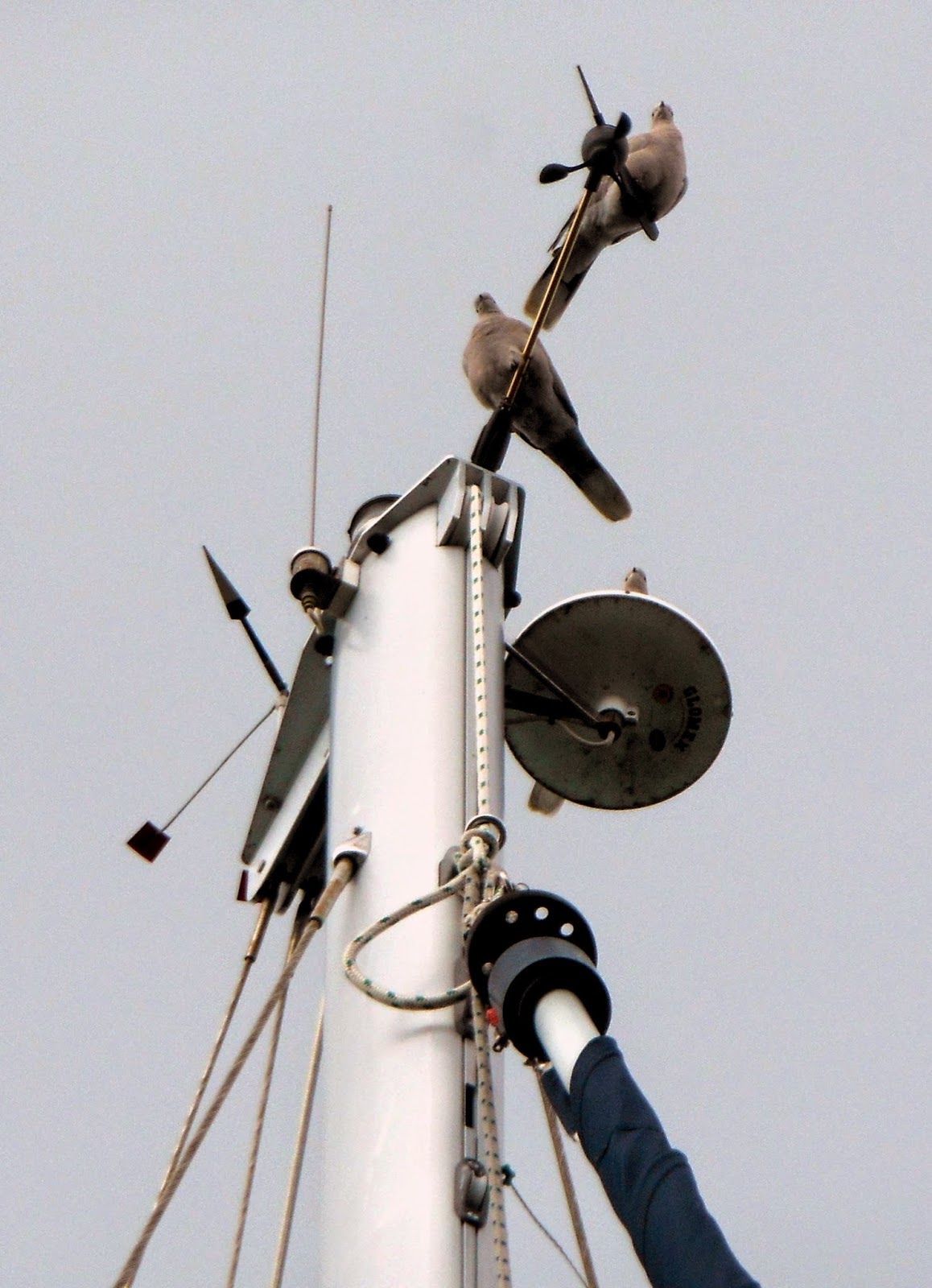 The Marine Installer's Rant Is boat lightning protection even possible?