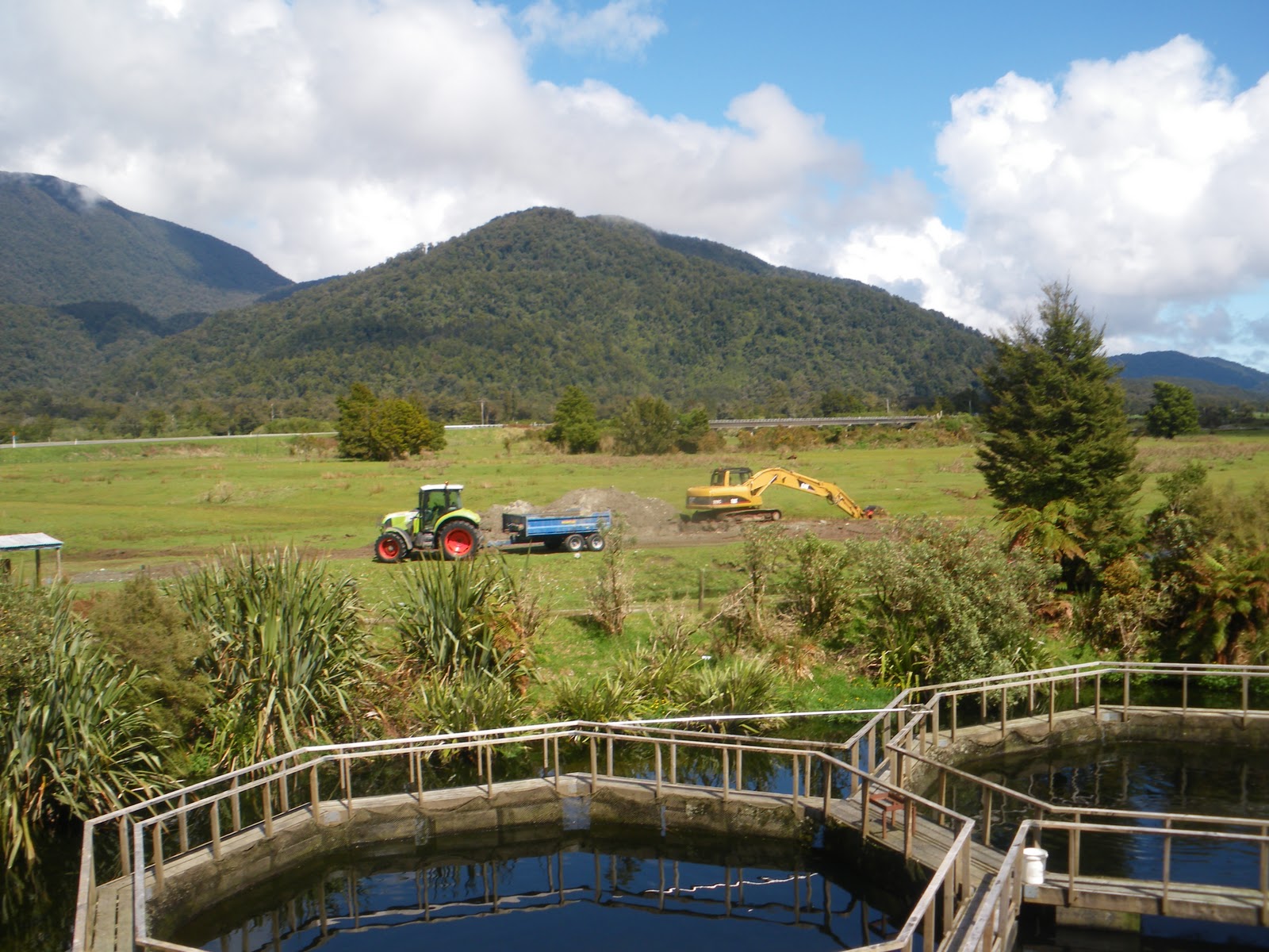 Backpacking in New Zealand Salmon Farm, Haast Falls and Bus Tripping