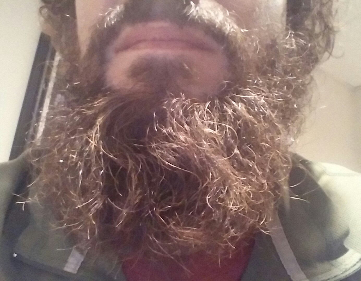 Troy Mustache Blog TGel Beard Dandruff Solution