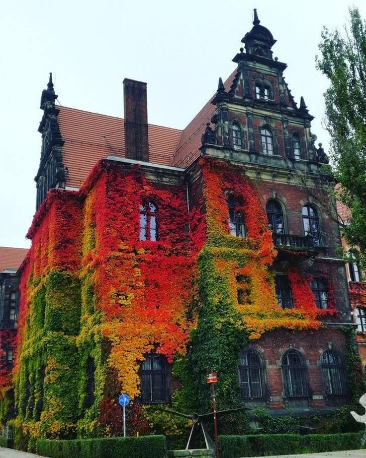 Mesmerizing Pictures Of Fall All Around The World