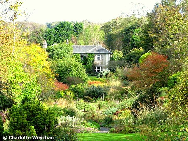 Galloping Gardener Walks Autumn Delights In Devon Galloping Gardener Walks Autumn