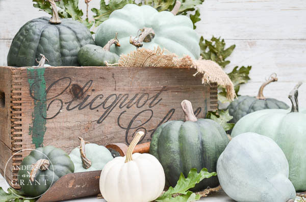 Decorate with pumpkins in a wood crate for fall.  |  www.andersonandgrant.com