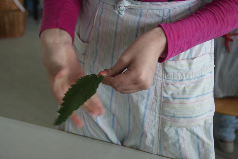 wild &amp; kostbar: Wildkräuterküche in der Schule